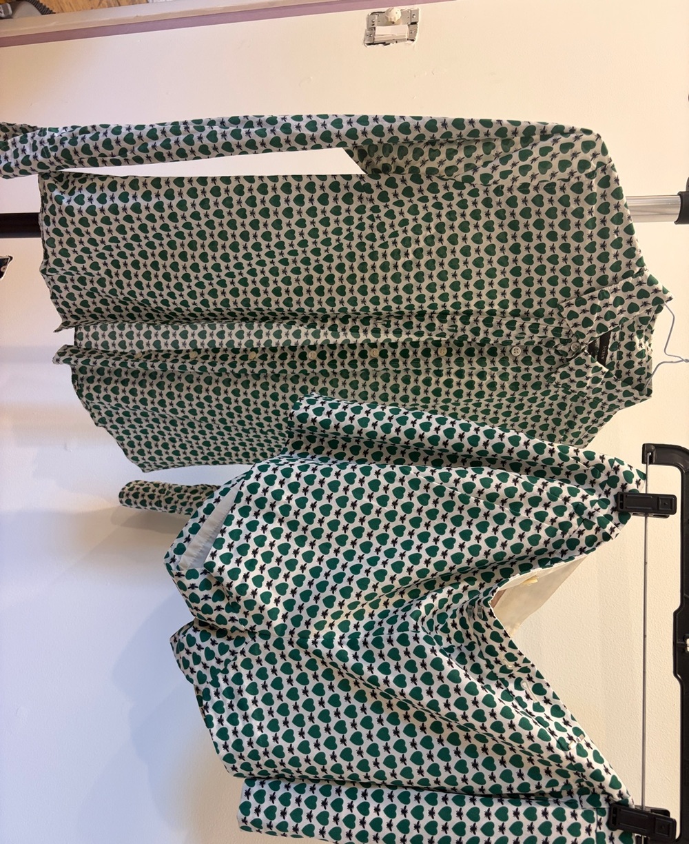 Women’s J. Crew Green Heart and Fly Set - Shorts and Perfect Shirt Buttondown